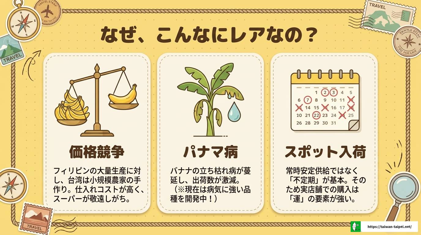 台湾バナナが売ってる場所はどこ?おすすめの店舗と通販ガイド