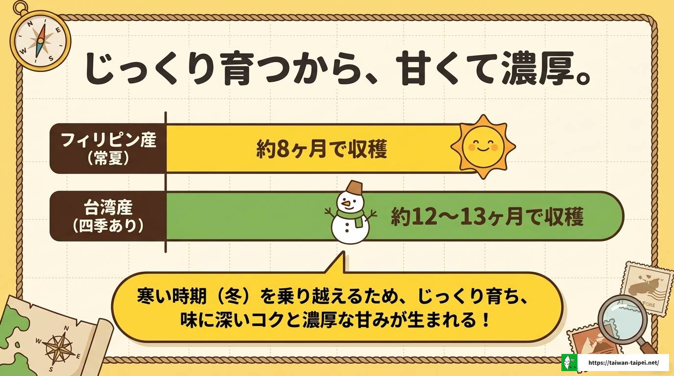台湾バナナが売ってる場所はどこ?おすすめの店舗と通販ガイド